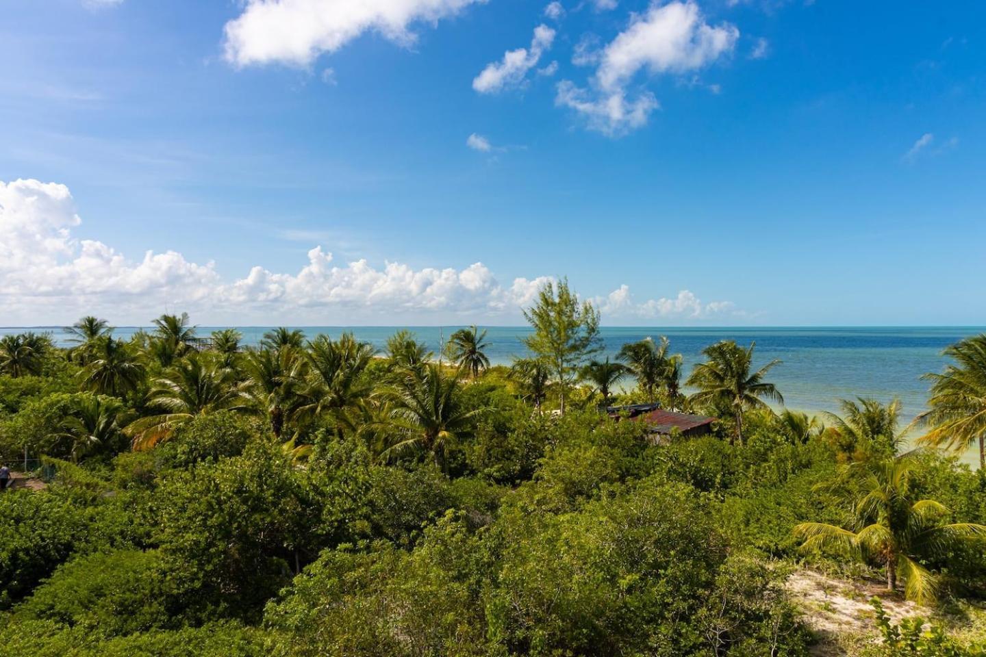 Beautiful Ocean View Penthouse With Private Pool -C301 Otel Isla Holbox Dış mekan fotoğraf